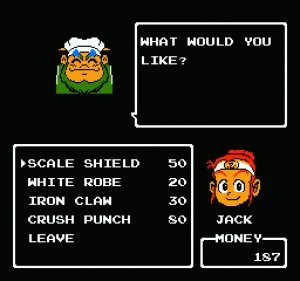 t-nes-little-ninja-brothers-auto.jpg