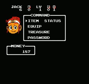 t-nes-little-ninja-brothers-auto2.jpg